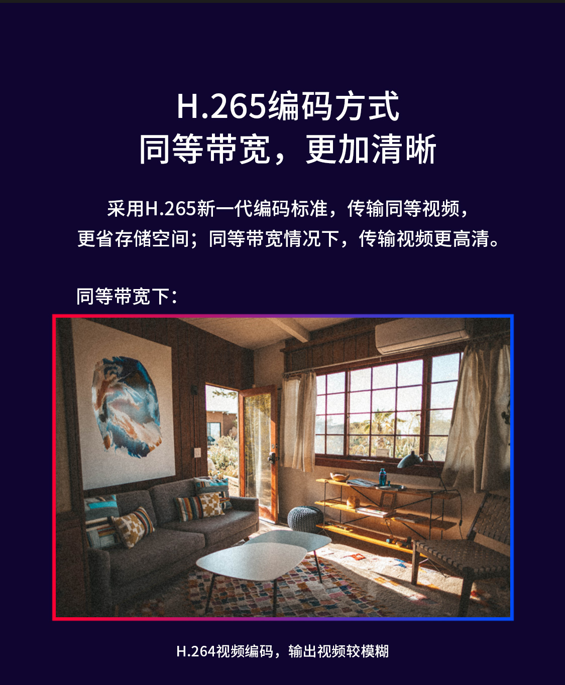 MIPC351-4（全彩版）