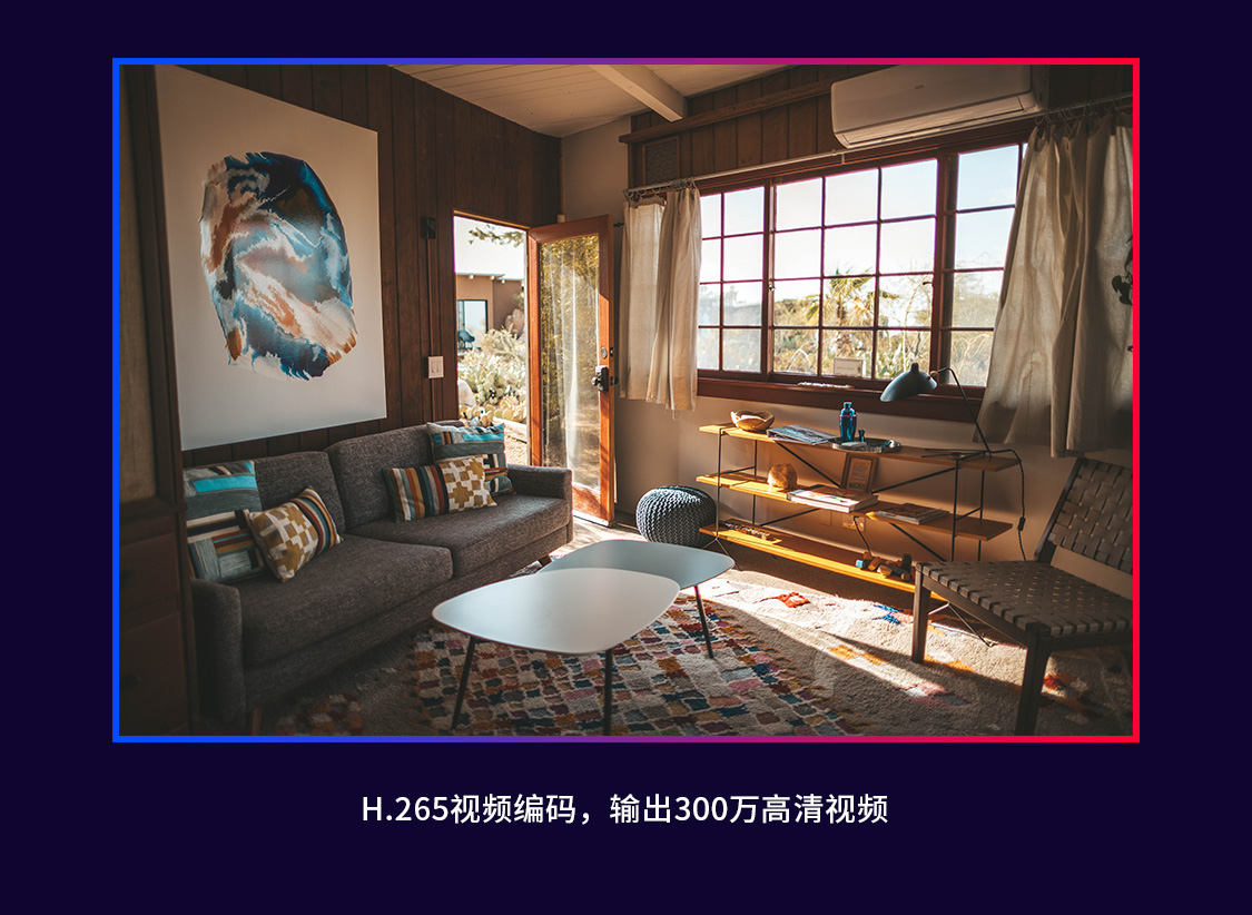 MIPC351-4（全彩版）
