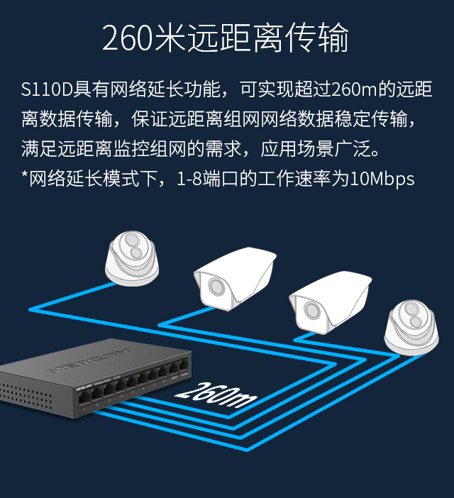S110D